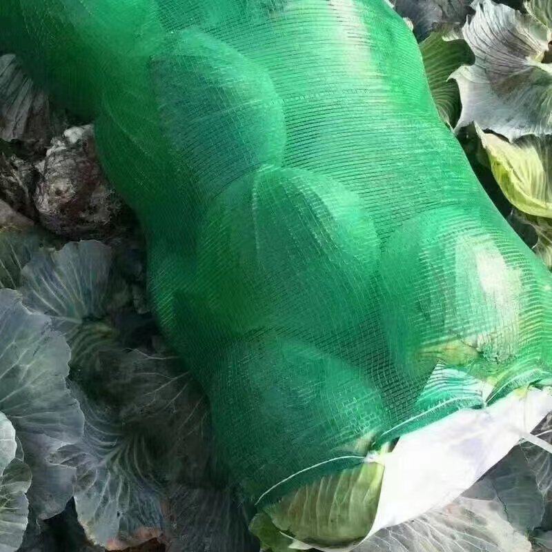 优质平包菜扁包，大量上市供应，产地种植大户，专业发货
