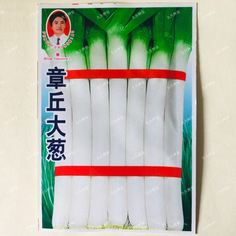 章丘大葱种子耐湿耐寒丰产大葱种子农家菜园四季田园春秋蔬菜