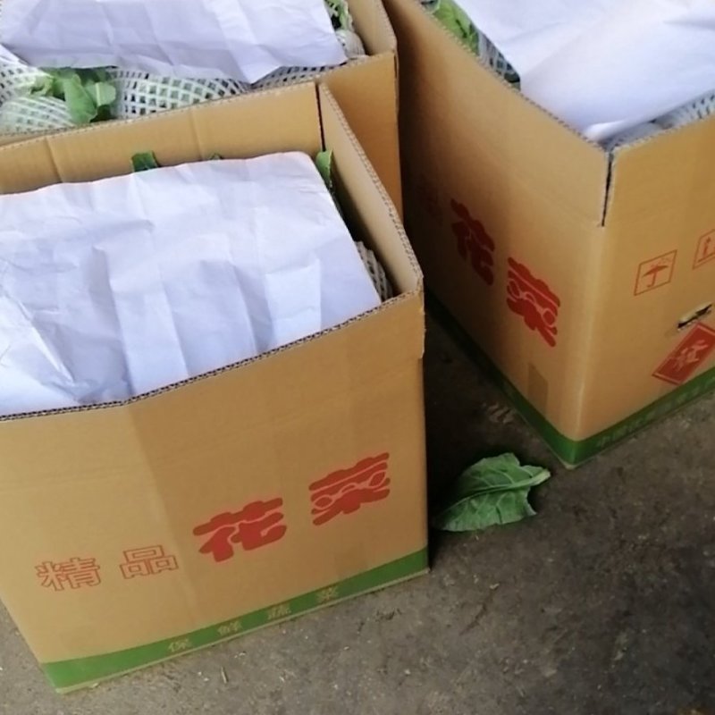 （精品花椰菜），长期供应，保质保量，产地代收发货全国各地