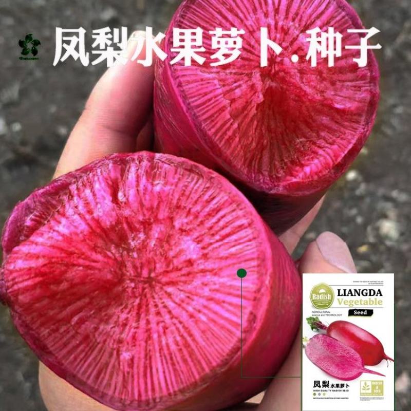 凤梨水果萝卜种子高产脆甜红心红皮萝卜种子穿心红萝卜种