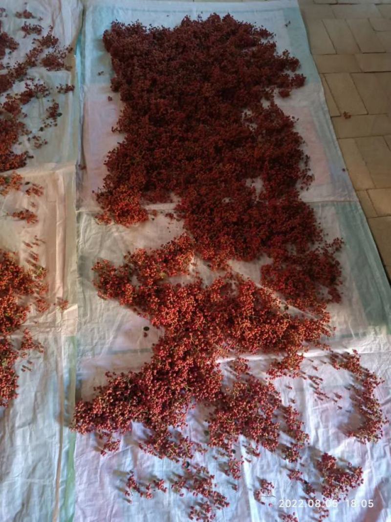 大红袍花椒