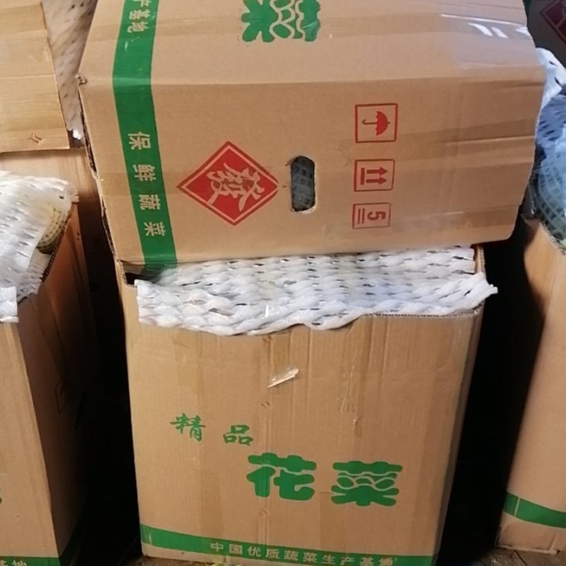 湖北天门市张港镇蔬菜种植地，提供清洗打冷，分拣装车