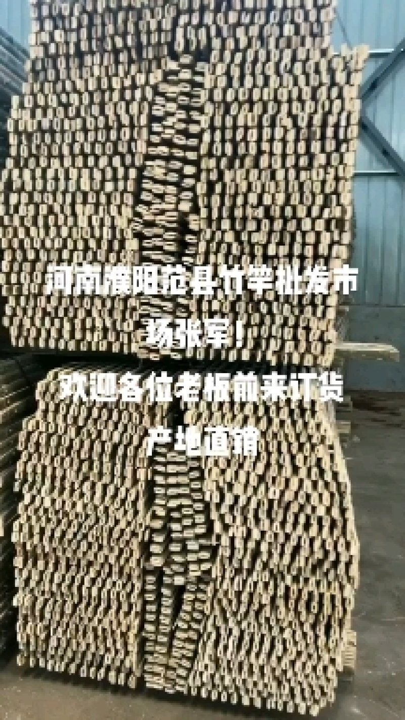 建设大棚大楠竹元竹！竹尾