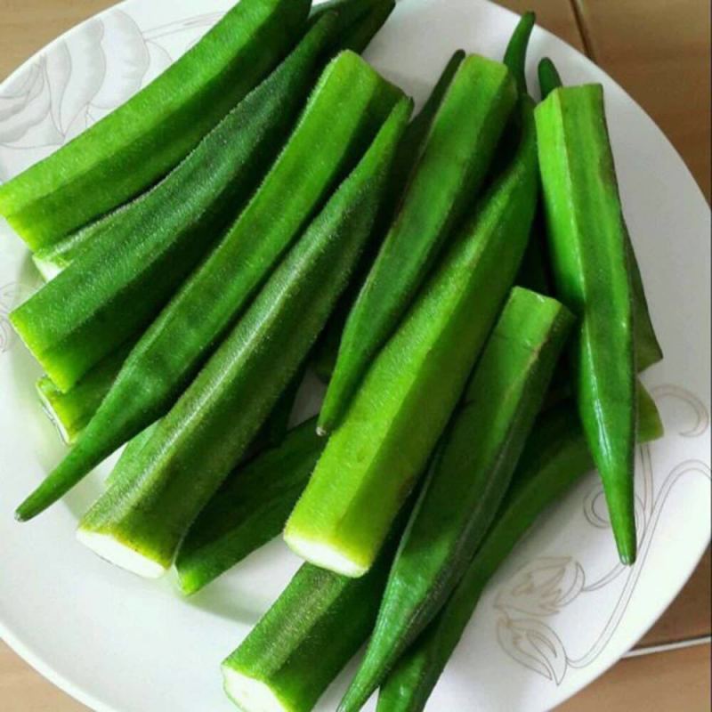 黄秋葵苗，金花葵苗，红秋葵苗，卡里巴黄秋葵秋葵苗包回收