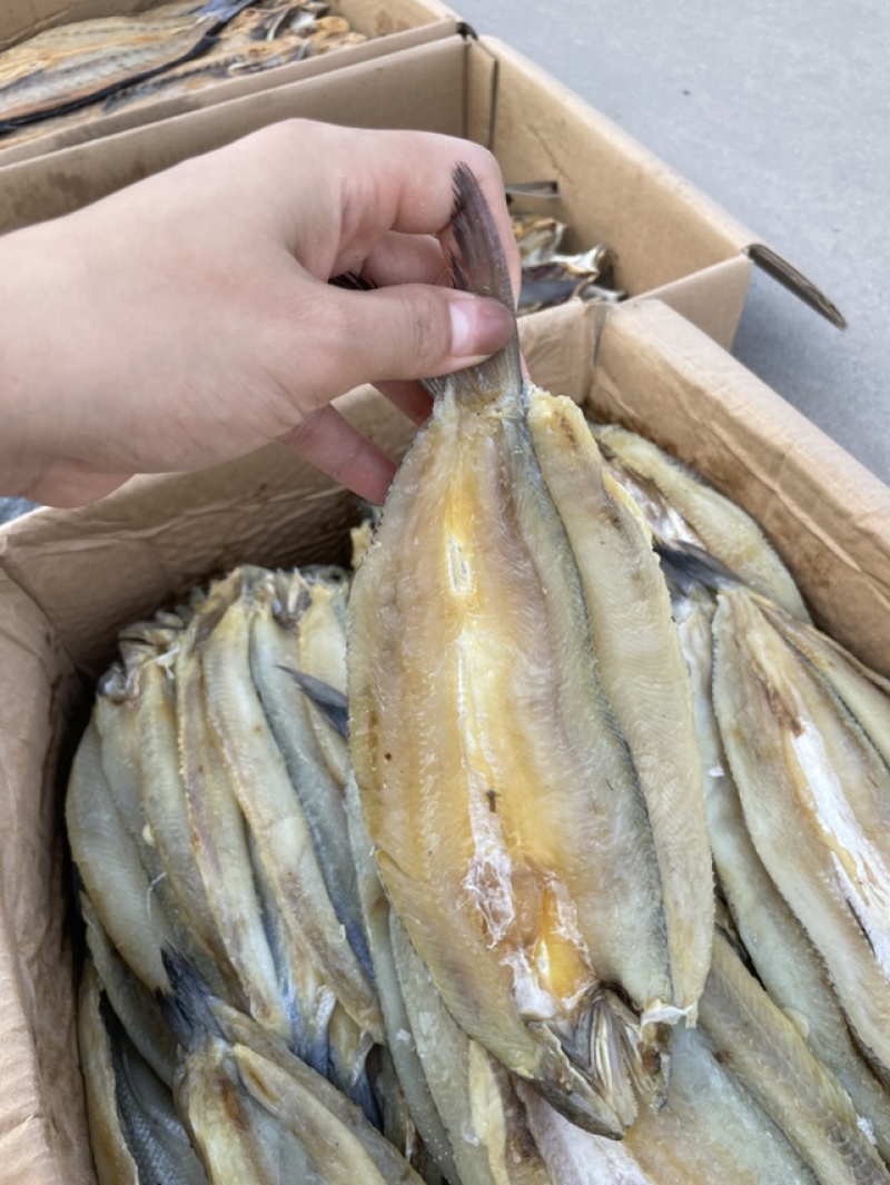 香梭片山东咸鱼规格齐全一件也是批发价