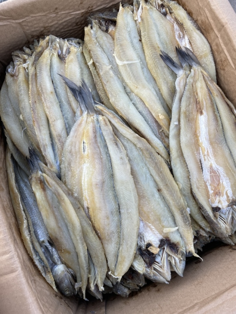 香梭片山东咸鱼规格齐全一件也是批发价