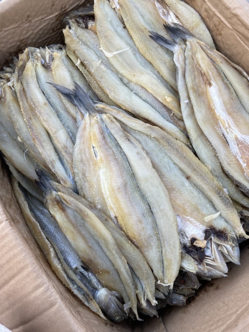 香梭片山东咸鱼规格齐全一件也是批发价
