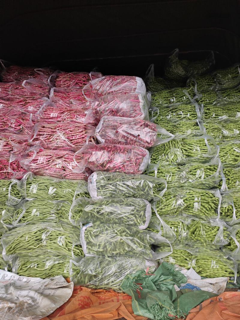 西红柿玉米无筋豆大青豆