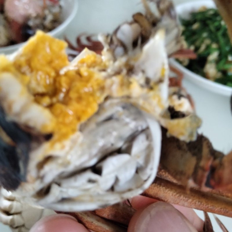 盘锦河蟹，有油炸小螃蟹放生苗，六月黄，成蟹，批发零售