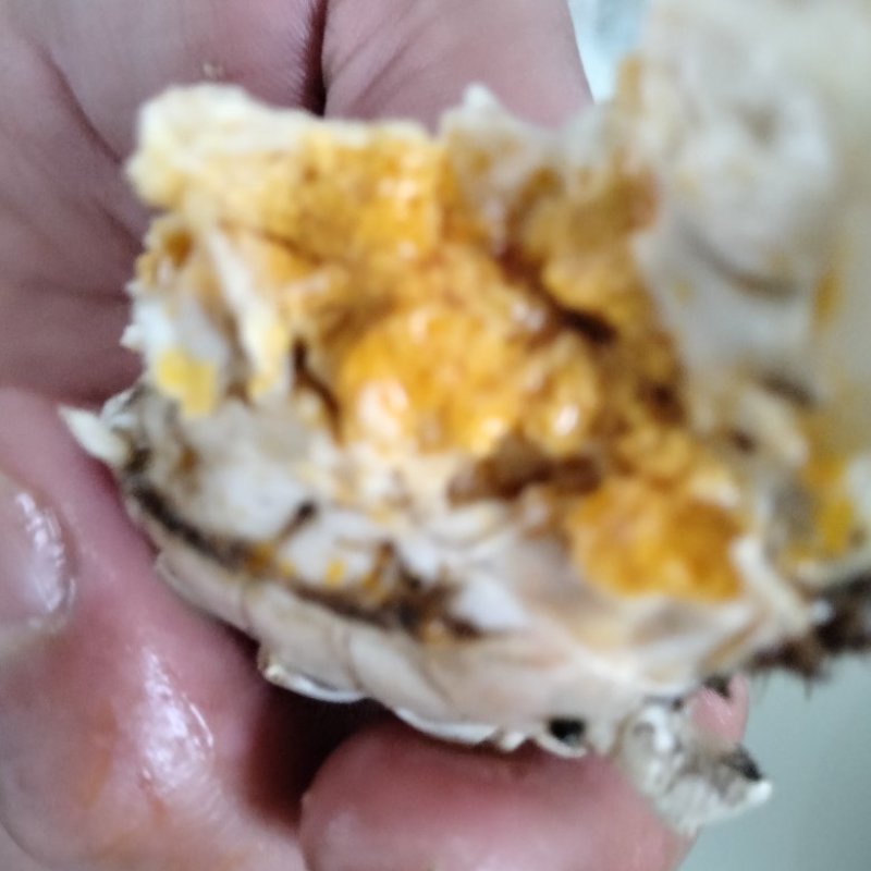 盘锦河蟹，有油炸小螃蟹放生苗，六月黄，成蟹，批发零售