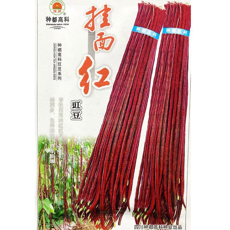 挂面红红豇豆种子，30克