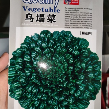 乌塌菜种子，10克