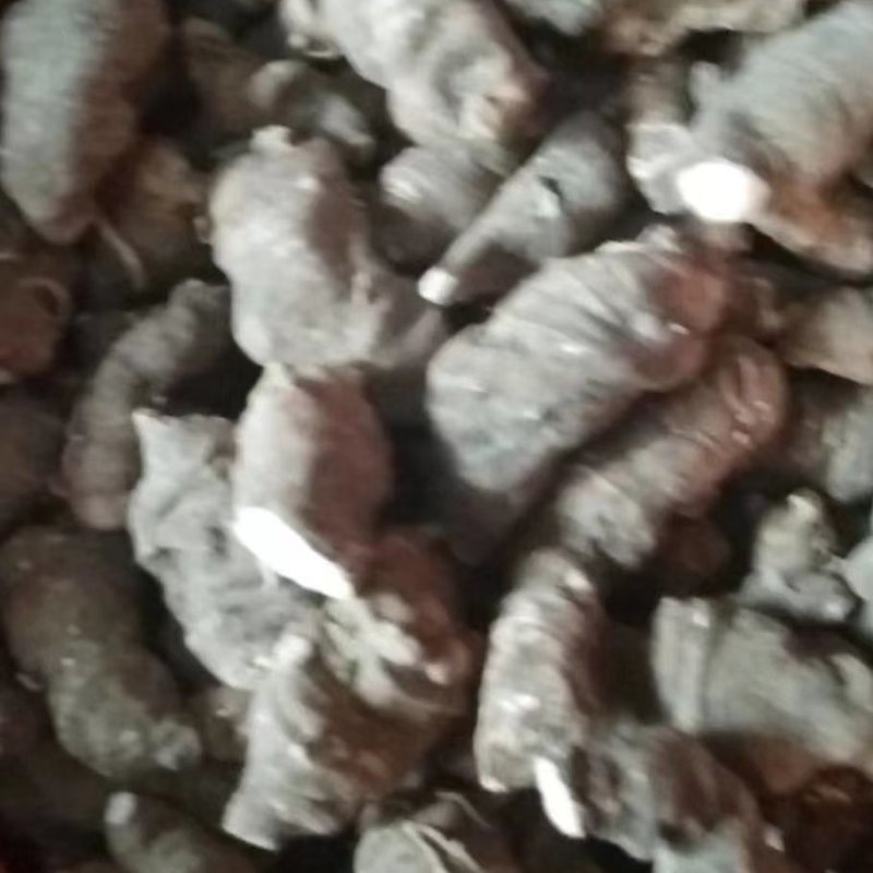 【实力商家】重楼，海螺七，七叶一枝花干货