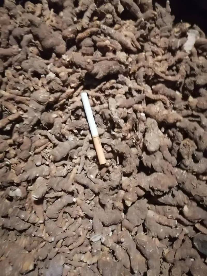 【实力商家】重楼，海螺七，七叶一枝花干货