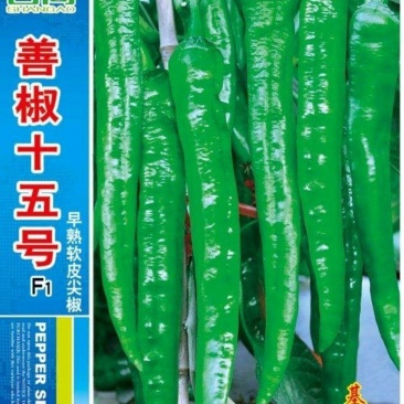 善椒十五号早熟软皮尖椒种子，1000粒