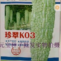 珍翠k30杂交苦瓜种子，10克