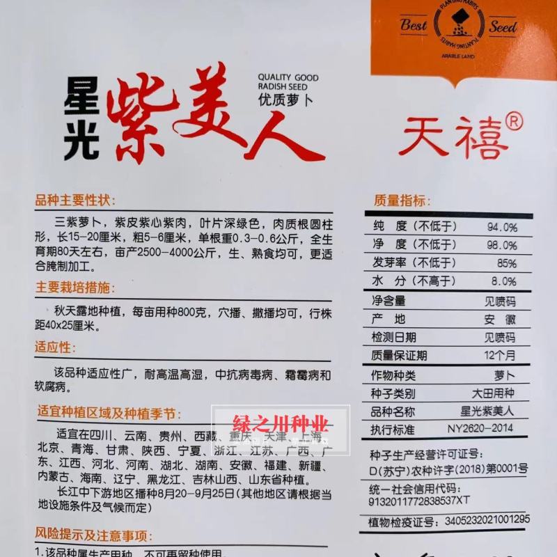 优质三紫萝卜种子星光紫美人萝卜种子紫皮紫肉萝卜种籽