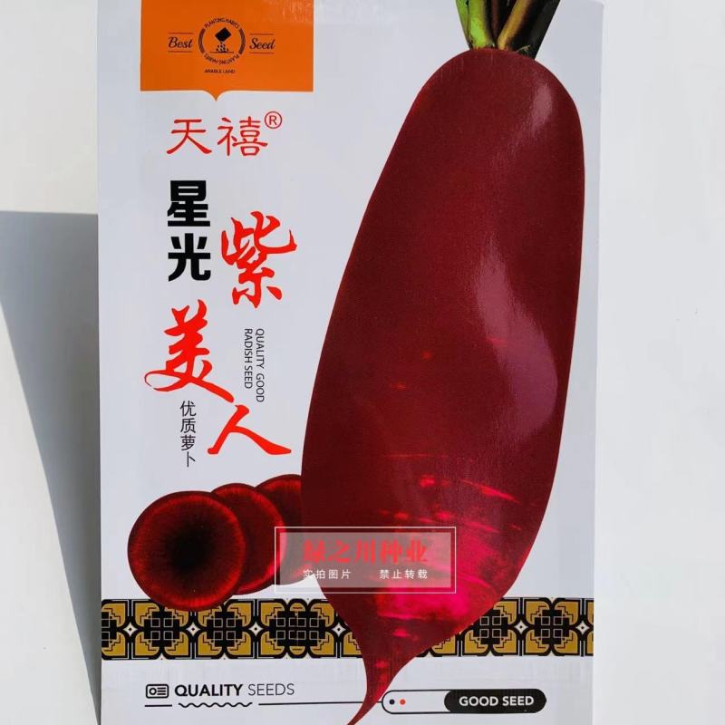 优质三紫萝卜种子星光紫美人萝卜种子紫皮紫肉萝卜种籽