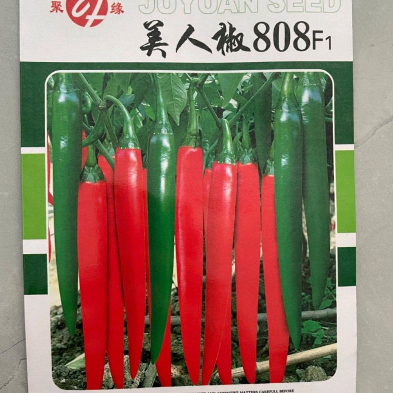 美人椒808辣椒种子，1000粒