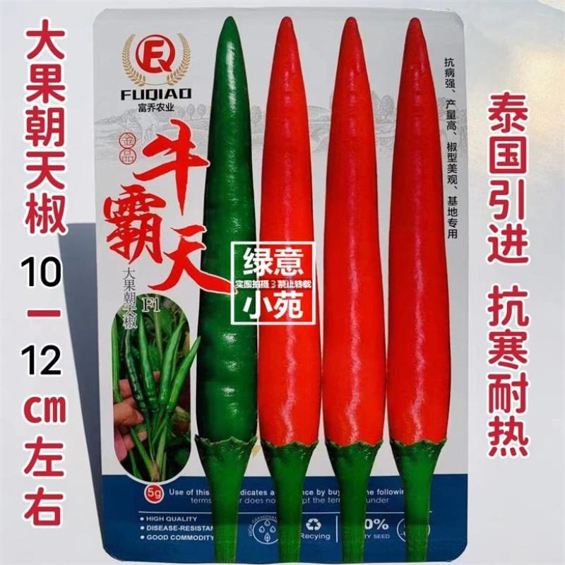 牛霸天朝天椒种子，1000粒