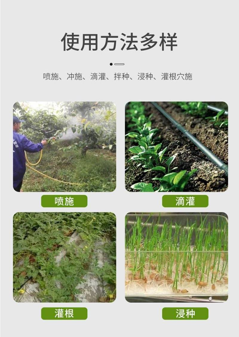 稀土水溶肥氨基酸陶氏益农叶绿保花保果膨大植物生长叶面肥料