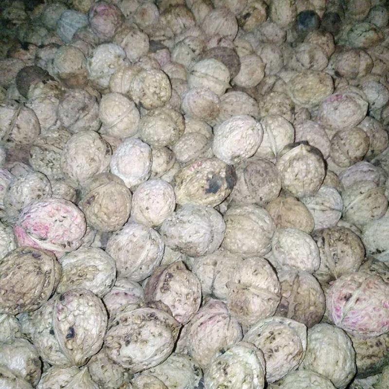 云南楚雄南华兔街薄皮核桃味道纯正绿色健康食品