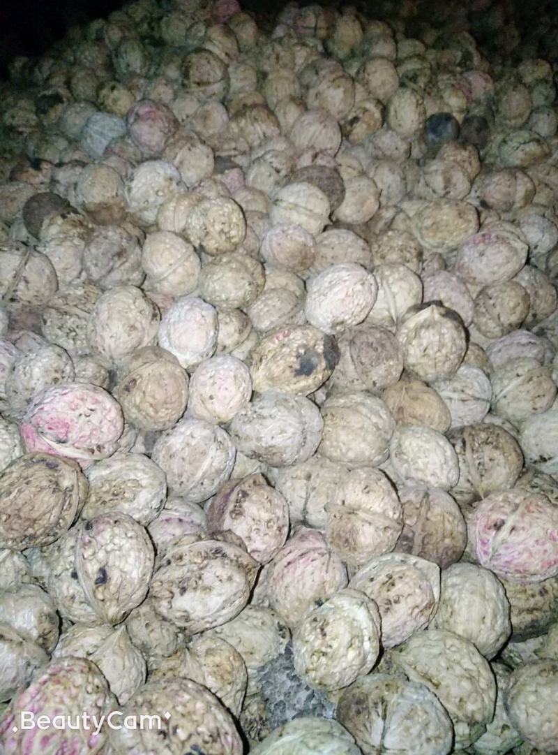 云南楚雄南华兔街薄皮核桃味道纯正绿色健康食品