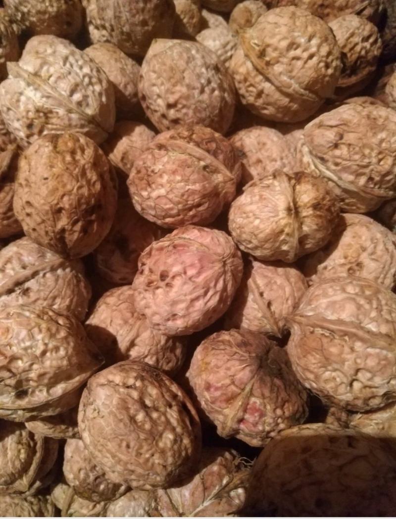 云南楚雄南华兔街薄皮核桃味道纯正绿色健康食品