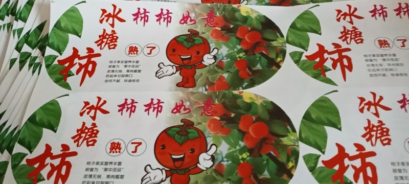 大荔精品七月黄柿子