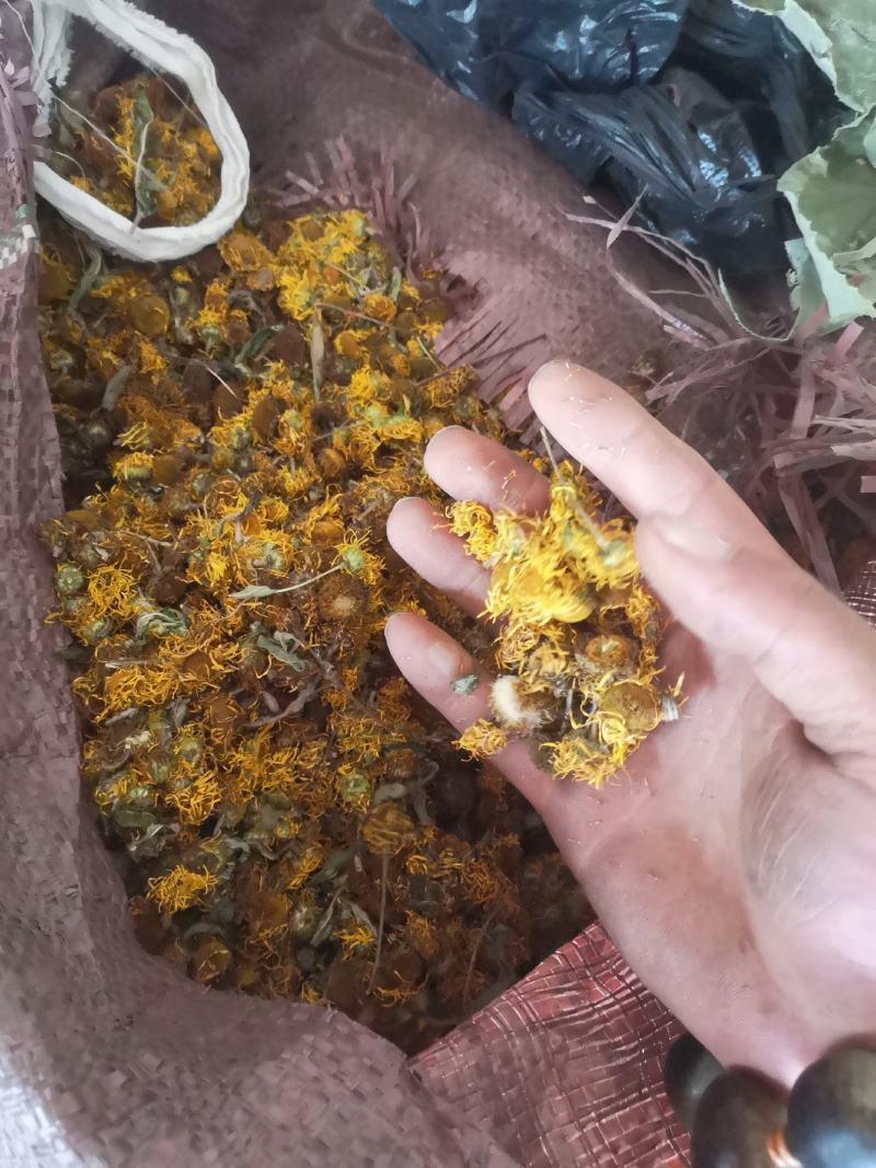 旋覆花