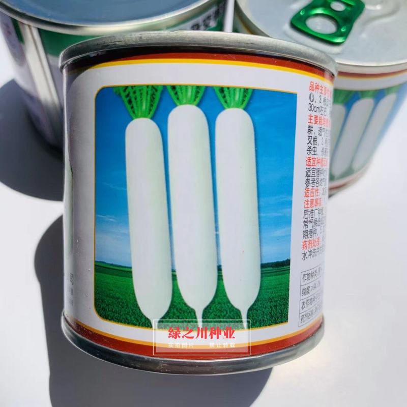精品天鸿春白萝卜种子耐抽苔春秋两季专用萝卜种子产量高