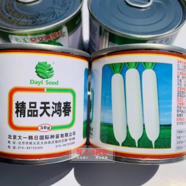 精品天鸿春白萝卜种子耐抽苔春秋两季专用萝卜种子产量高