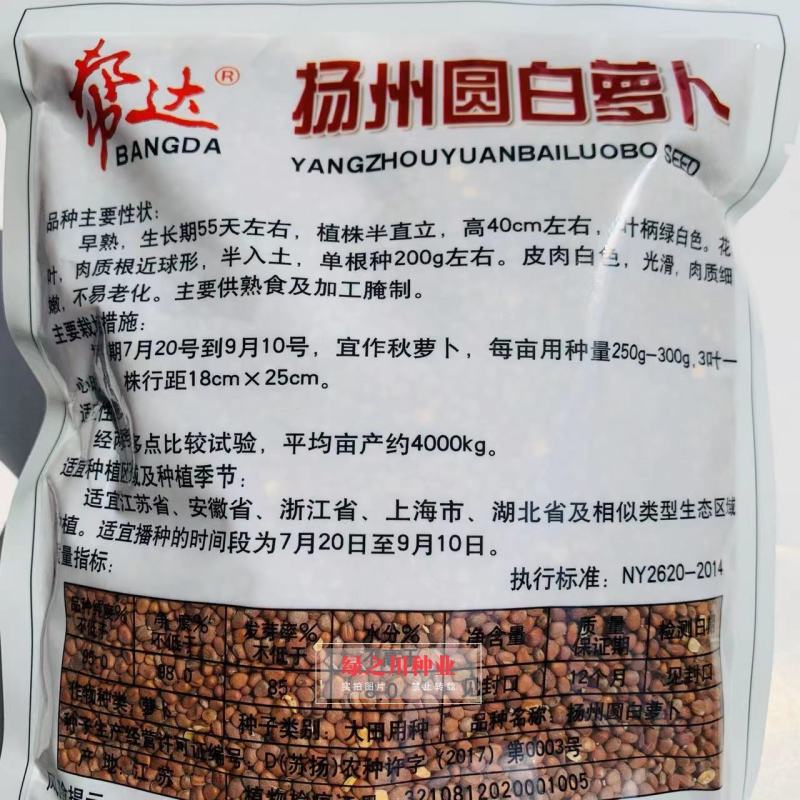 扬州圆白萝卜种子大田专用品种花叶近球形秋萝卜种子早熟