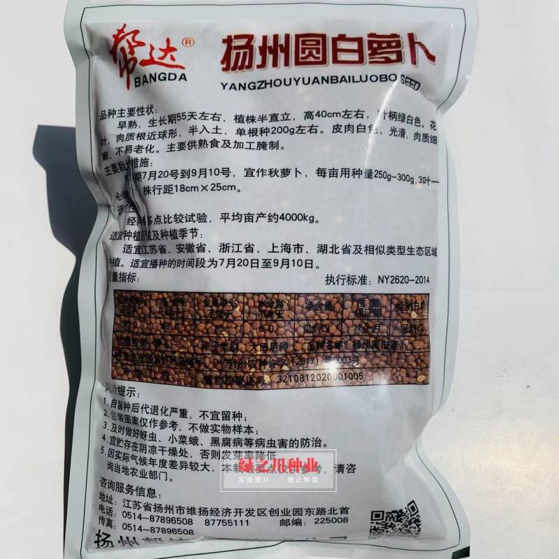 扬州圆白萝卜种子大田专用品种花叶近球形秋萝卜种子早熟