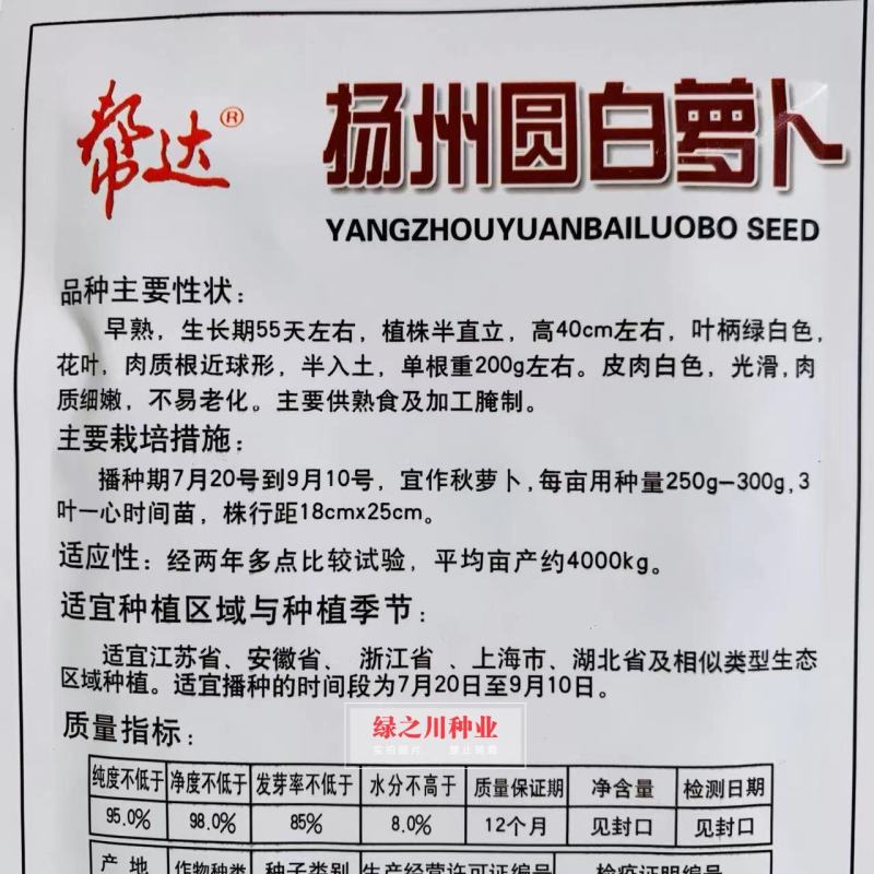 扬州圆白萝卜种子大田专用品种花叶近球形秋萝卜种子早熟