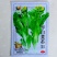 早白菜苔种子青菜种籽甜菜苔菜心农家蔬菜阳台盆栽春秋季四季