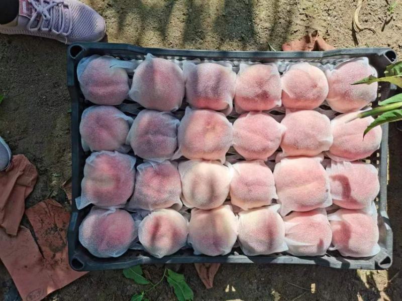 桃