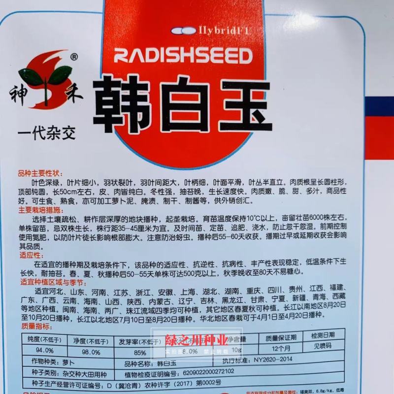 韩白玉萝卜种子一代杂交白萝卜种子，冬性强抽苔晚