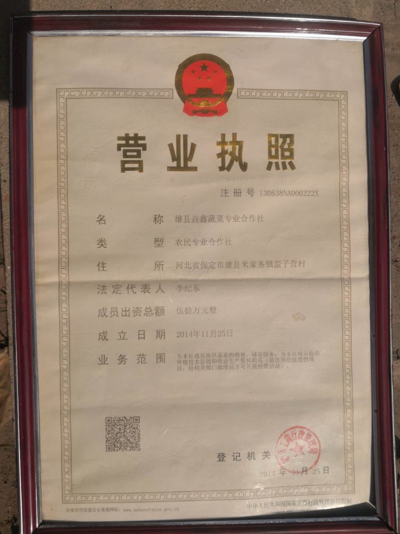 雄安蜜薯，龙九，济薯，大量供应