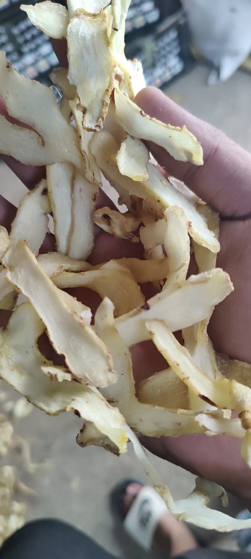 新货湖南邵东玉竹批发野生无硫玉竹片玉竹批发