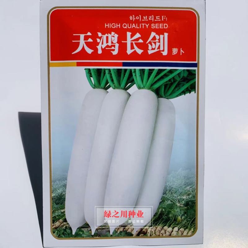 天鸿长剑白萝卜种子抗病高产，耐抽苔不易糠心，根皮白