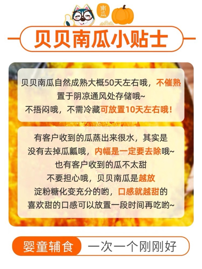 【一件代发】正宗贝贝南瓜老瓜麻籽/惠和/进口粉面香甜
