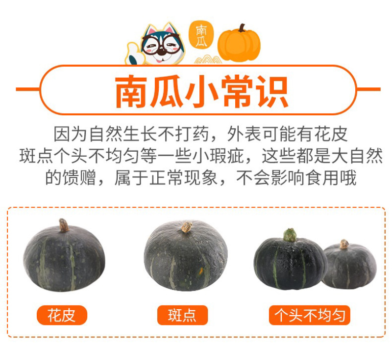 【一件代发】正宗贝贝南瓜老瓜麻籽/惠和/进口粉面香甜