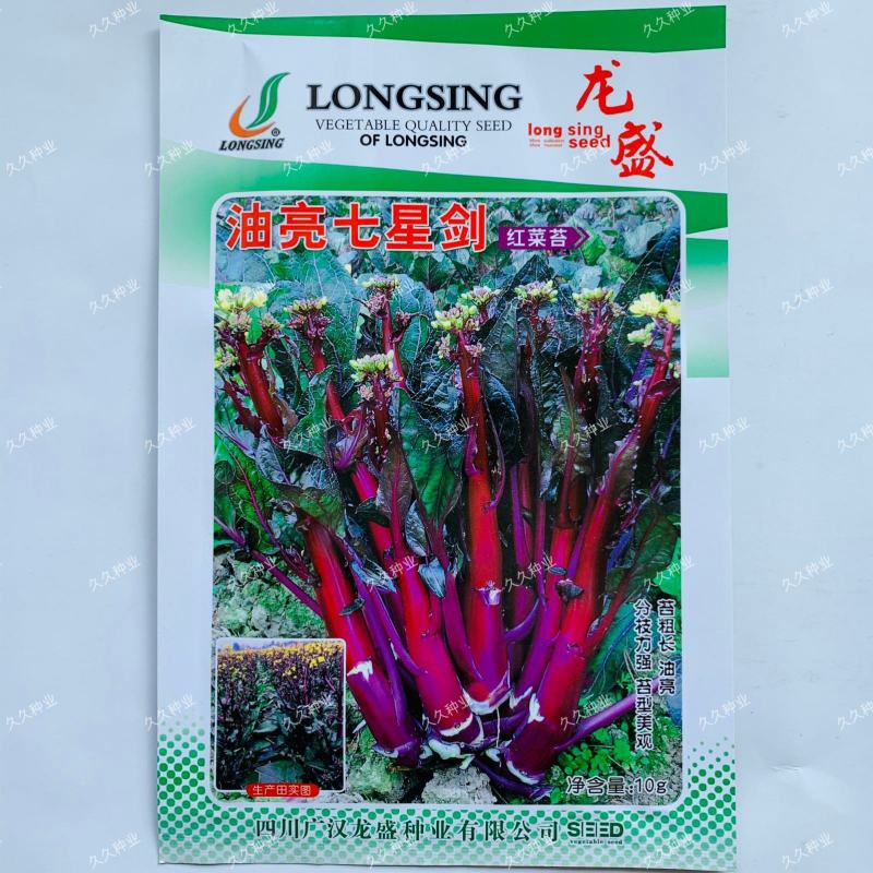 龙盛油亮七星剑红菜苔种籽耐热抗病菜心红菜花种子南方菜种孑
