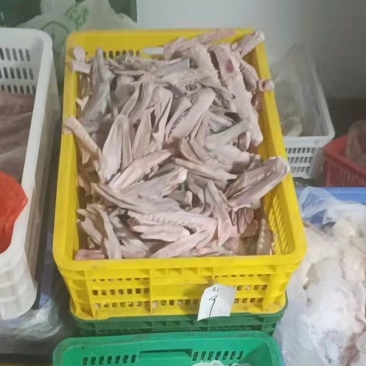 棚鹅掌亦过千斤出库