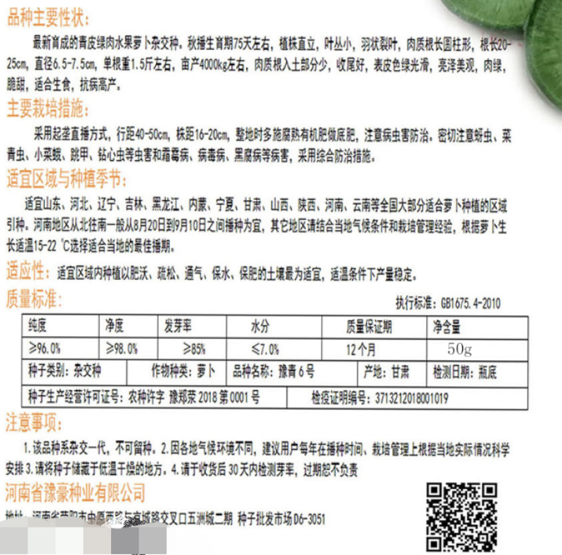 豫青6号水果萝卜种子口感好商品性好抗病能力强