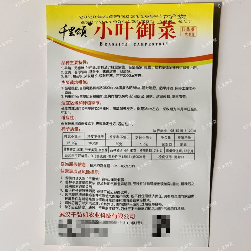 千里颂小叶御菜红菜苔种子优质杂交高产早熟翠玉白菜苔春秋播