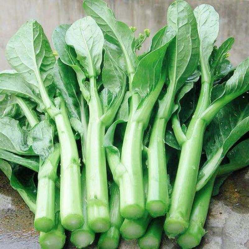 油绿甜脆甜菜心种子菜芯菜苔油青菜籽高产早熟四季播蔬菜种子