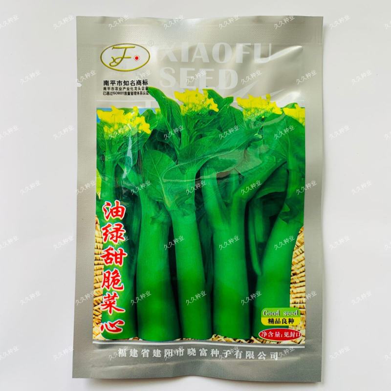 油绿甜脆甜菜心种子菜芯菜苔油青菜籽高产早熟四季播蔬菜种子
