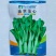 油翠菜心种子耐热耐湿青翠高产甜菜心菜台种籽春秋四季青菜苔